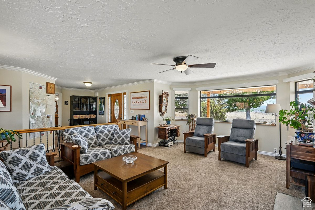 Carpeted living room featuring a ceiling fan, baseboards, ornamental molding, and a textured ceiling