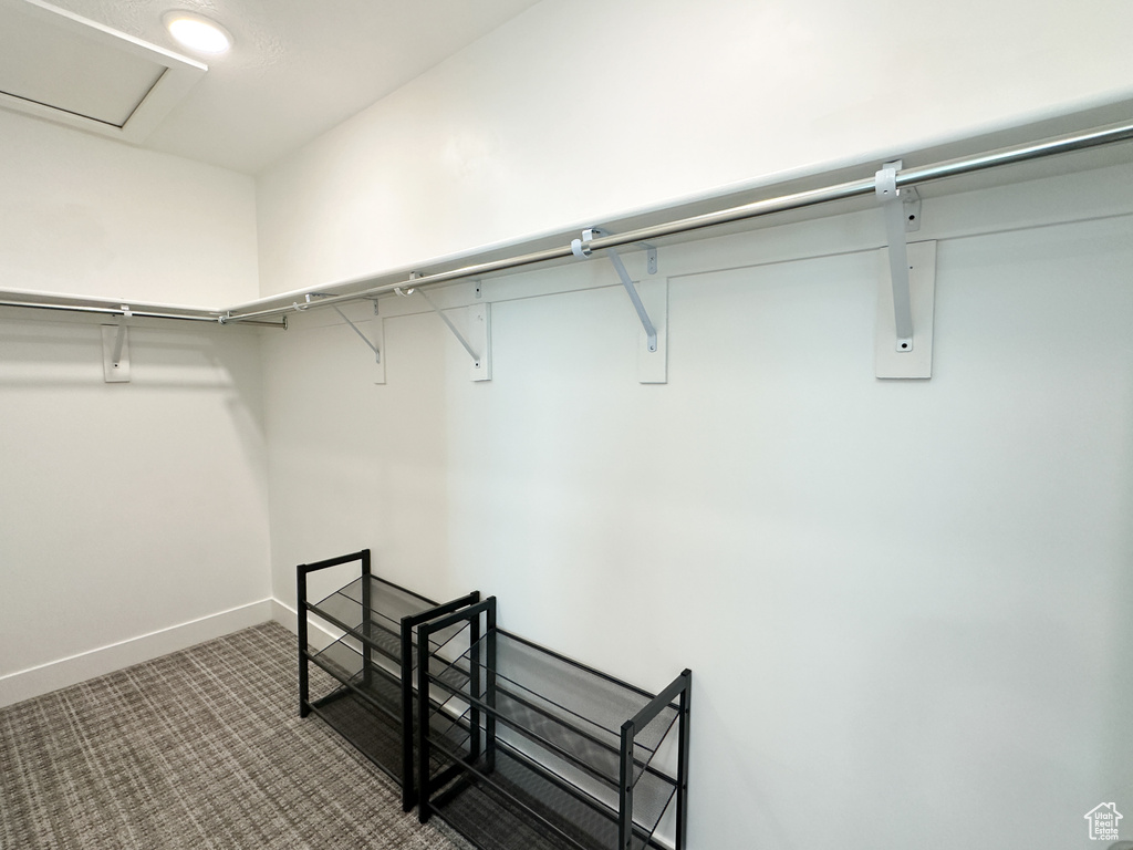 Spacious closet featuring carpet