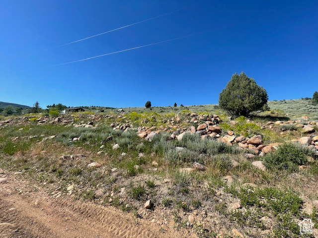 View of undeveloped land