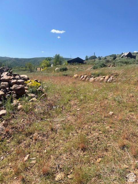 View of yard featuring a rural view