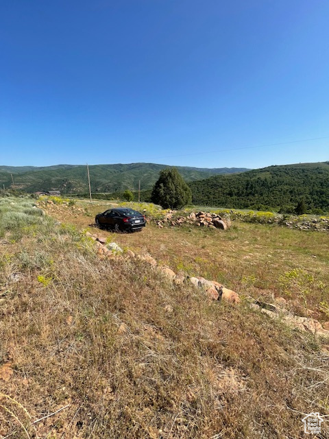 View of mountain background with rural landscape