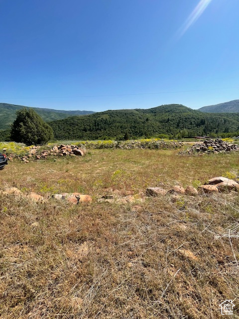 View of mountain background