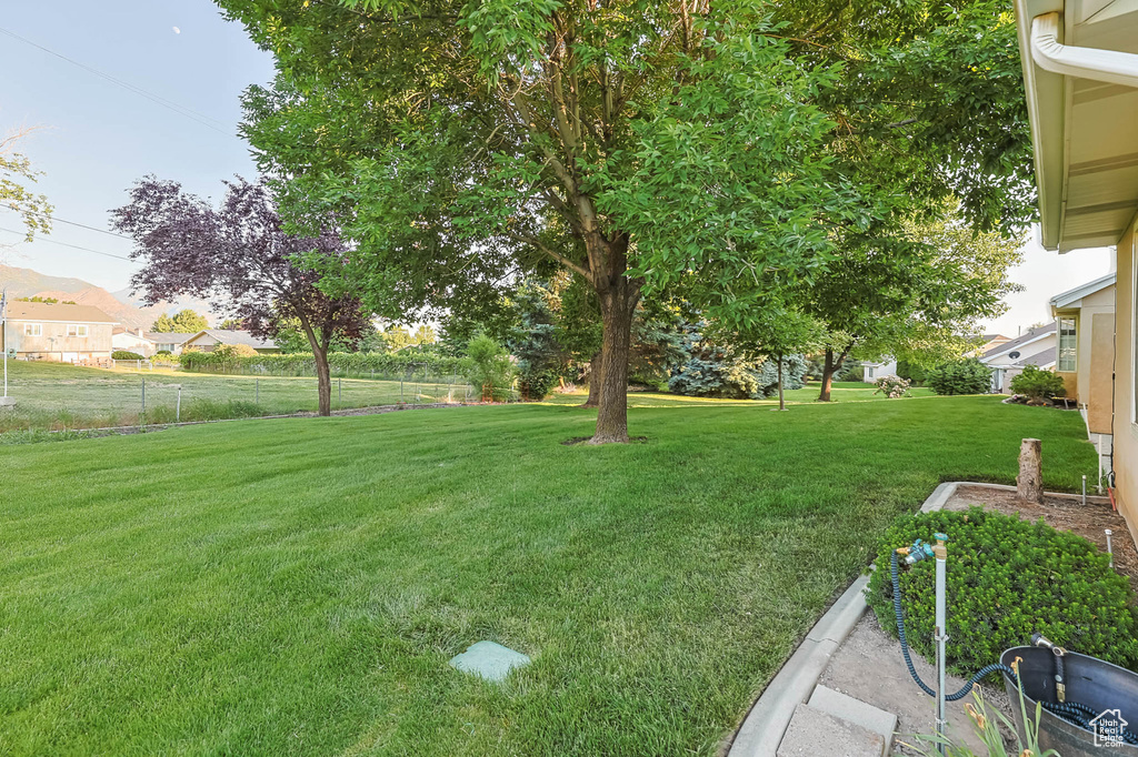 View of yard