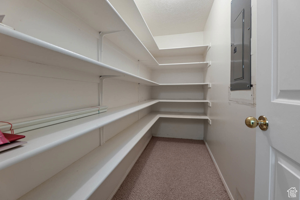 Pantry featuring electric panel