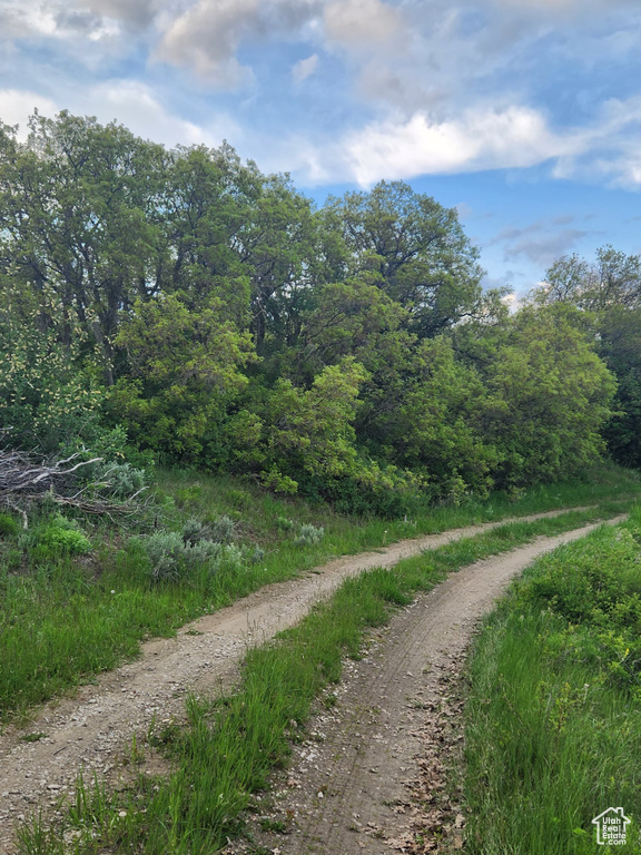 View of street with a view of trees