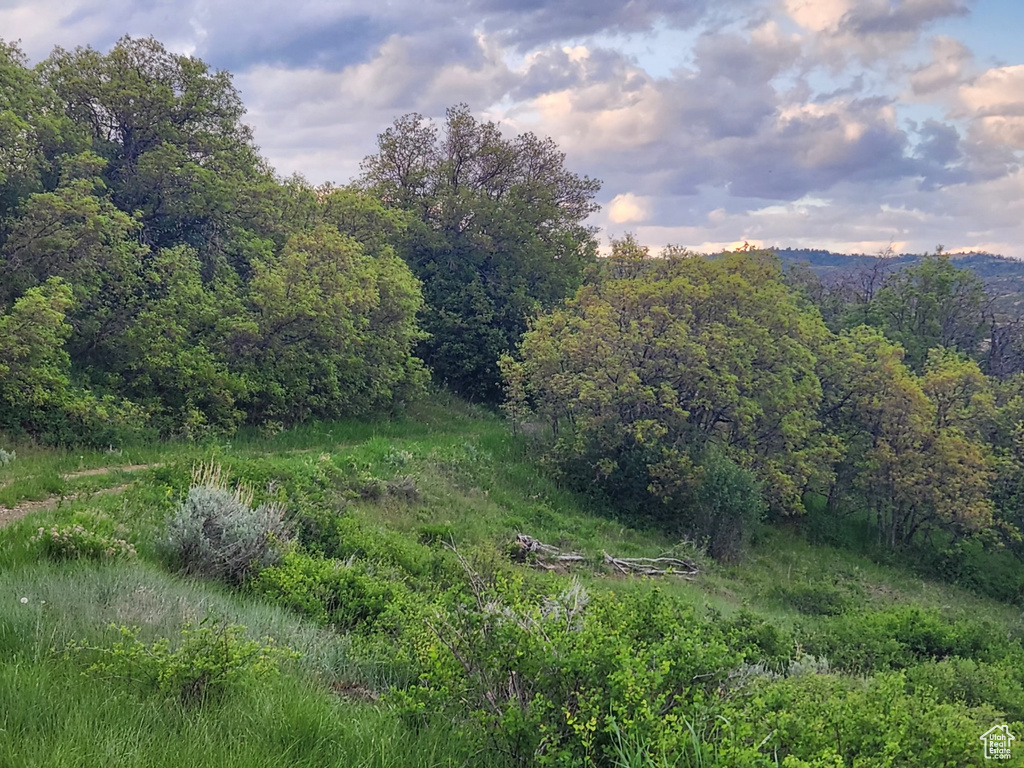 View of wooded area
