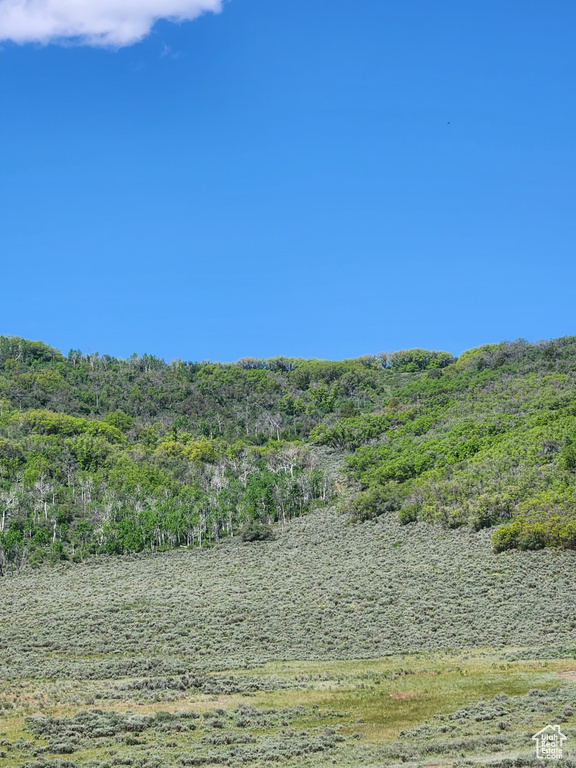 View of yard featuring a view of trees