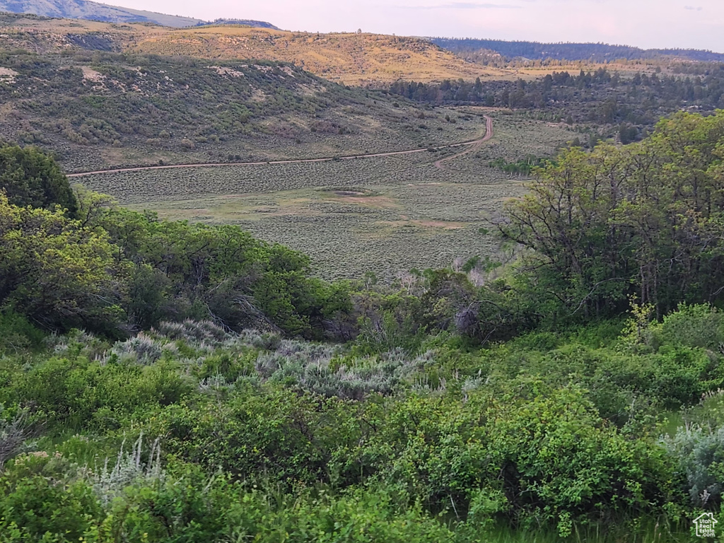 View of mountain background
