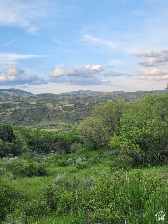 View of mountain background