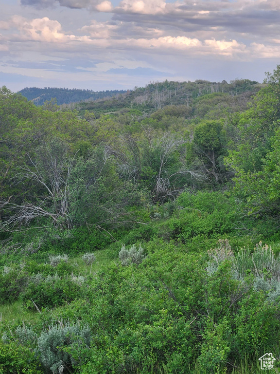 View of mountain background featuring a forest