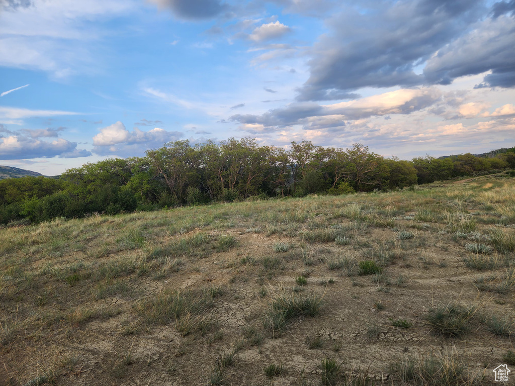 View of undeveloped land