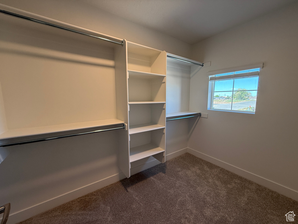 Spacious closet with dark carpet