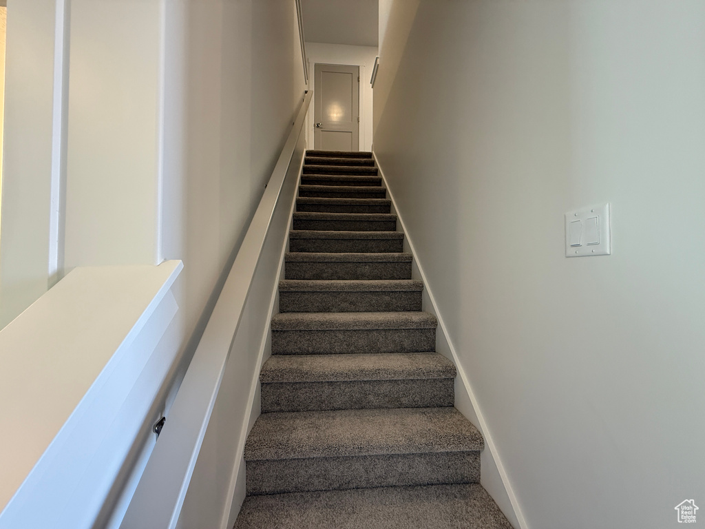 Stairway featuring carpet floors and baseboards