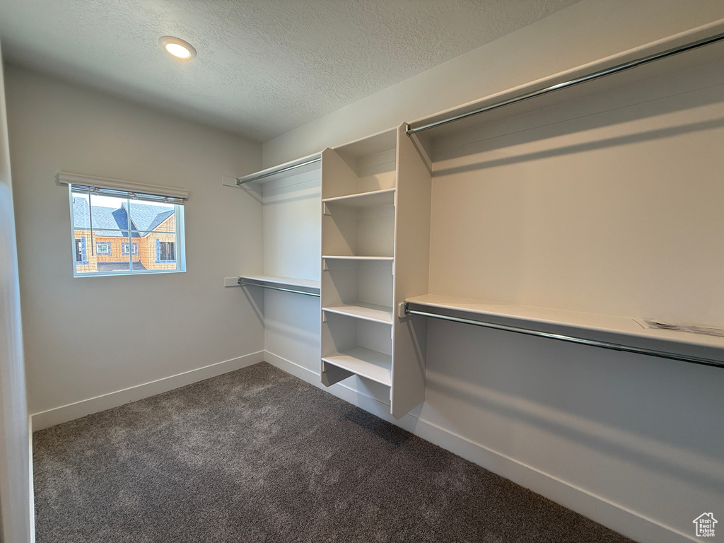 Spacious closet featuring dark carpet