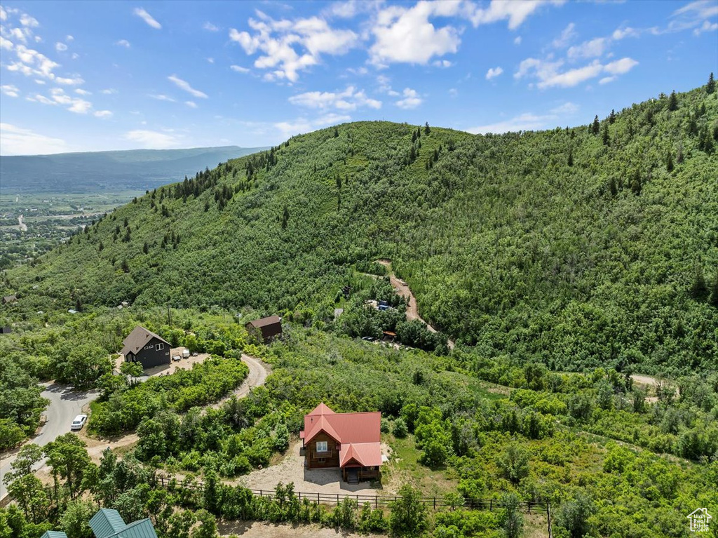 Aerial view of a forest and a mountain backdrop