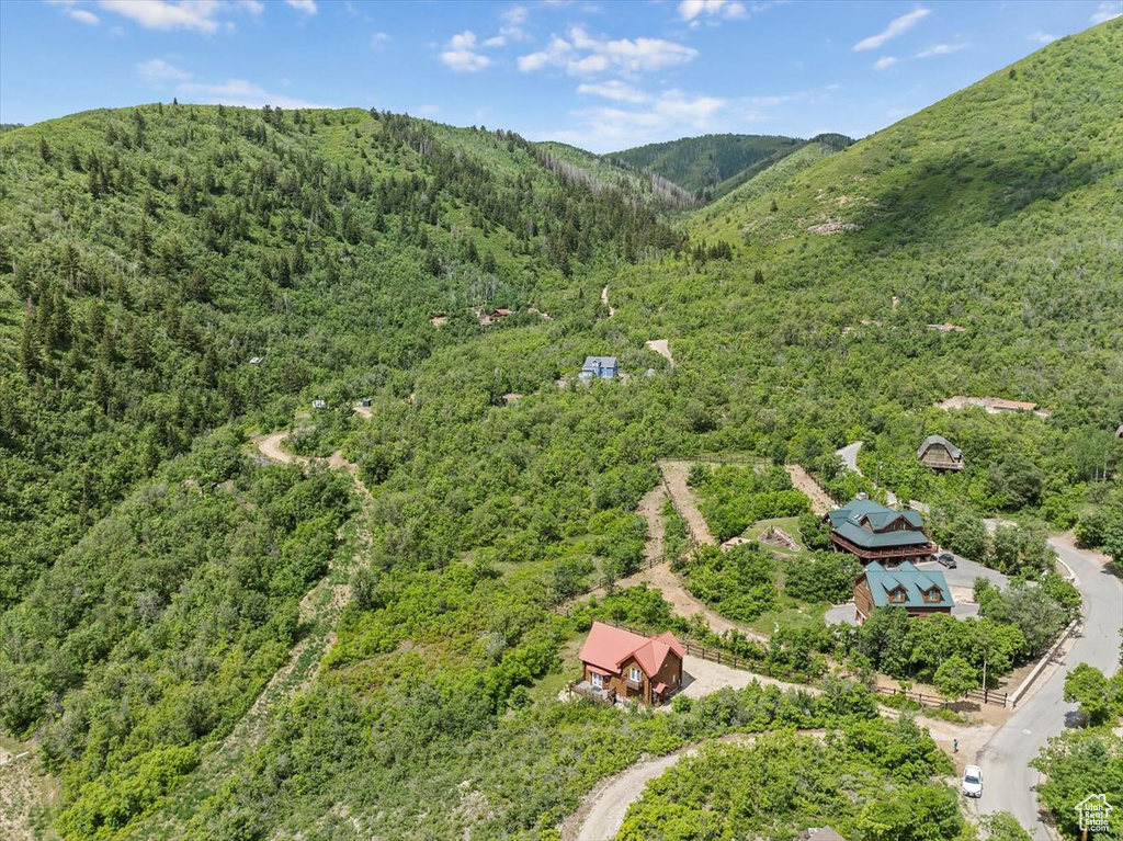 Aerial view of a forest and a mountainous background