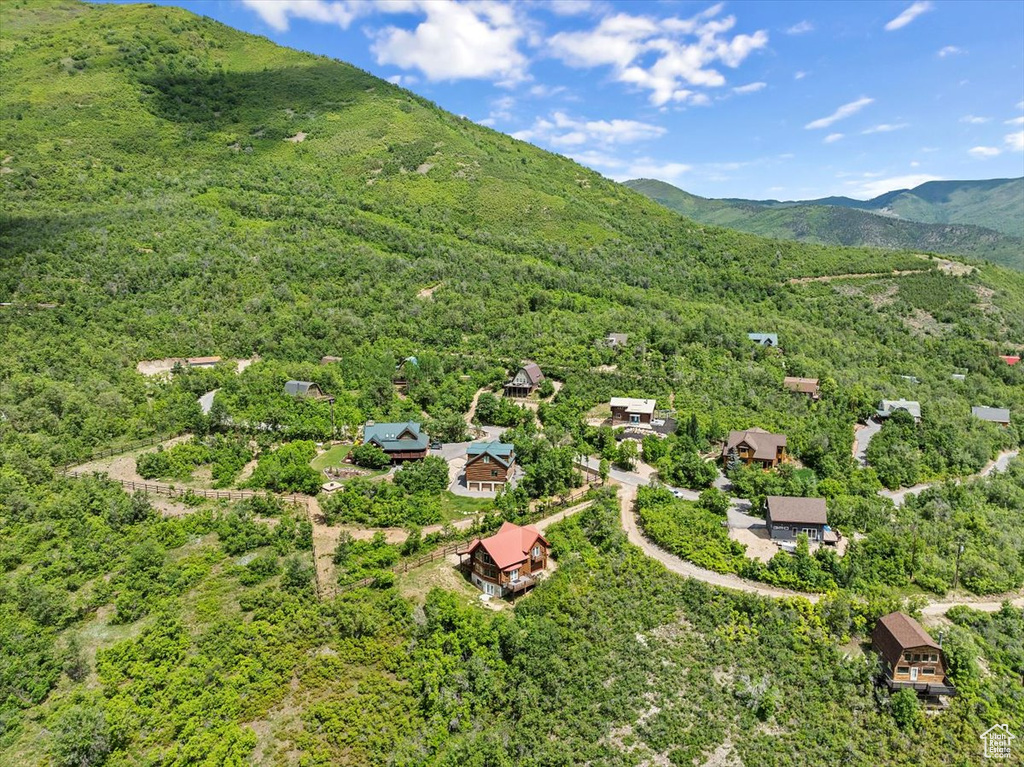 Drone / aerial view of a mountainous background and a heavily wooded area