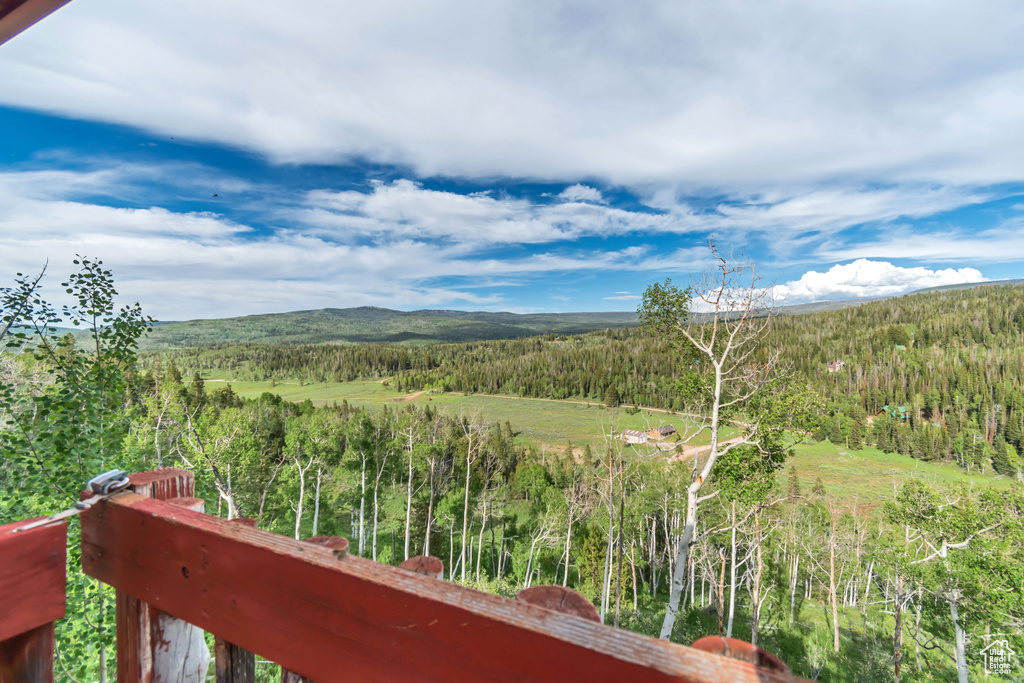 Mountain view with a heavily wooded area