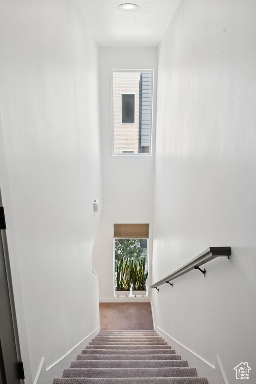 Stairway featuring carpet floors and baseboards
