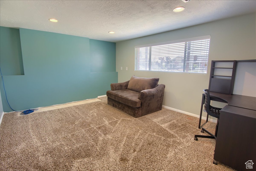 Living area with carpet flooring, baseboards, a textured ceiling, and recessed lighting