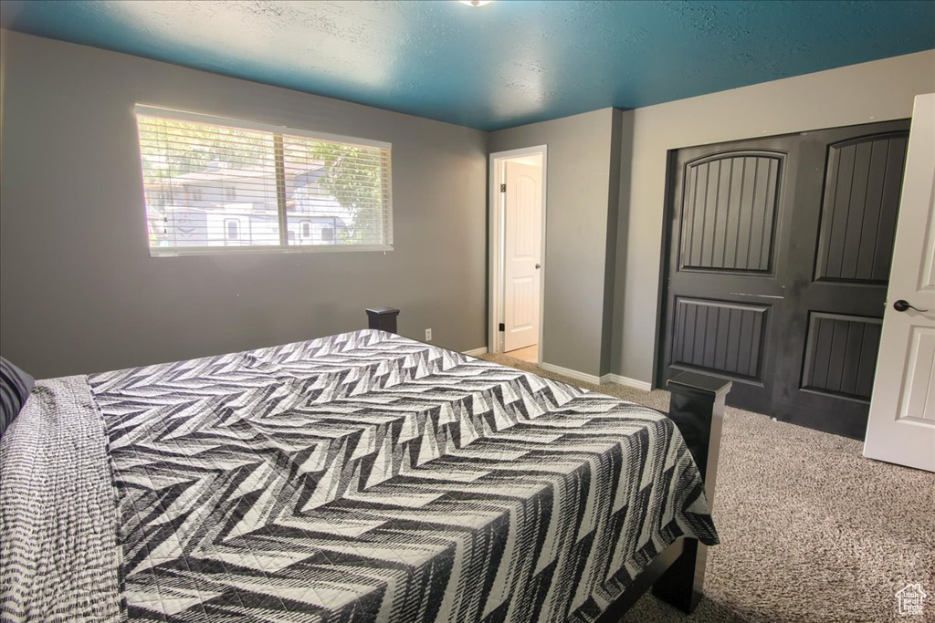 Carpeted bedroom featuring a closet