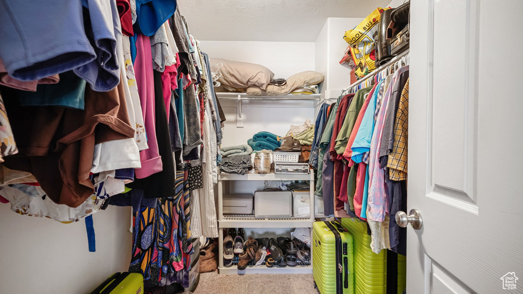 Walk in closet featuring carpet floors