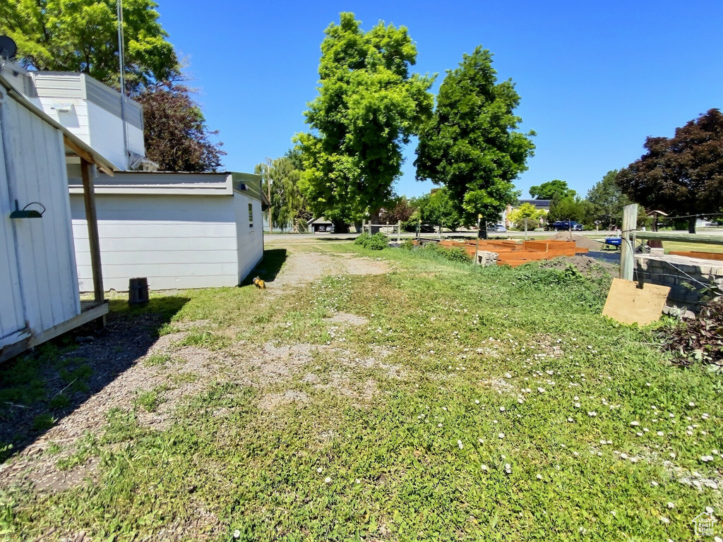 View of grassy yard