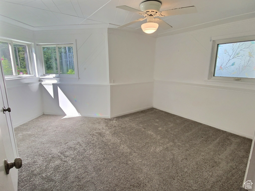Carpeted empty room with ceiling fan, ornamental molding, and baseboards