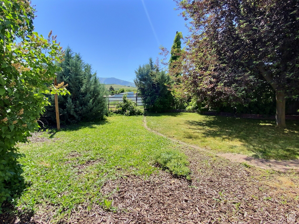 View of yard with a mountain view