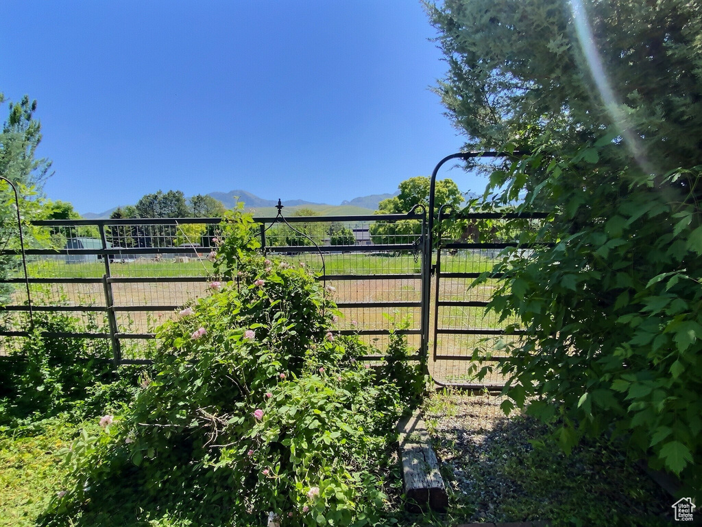 View of yard with a mountain view