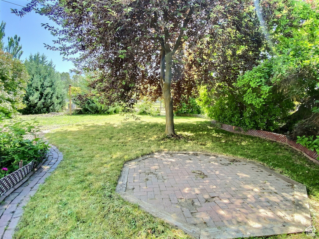 View of grassy yard featuring a patio