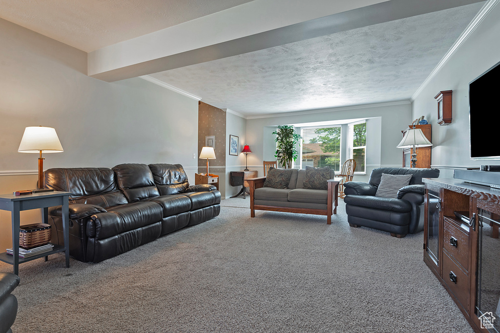 Carpeted living room featuring ornamental molding and a textured ceiling