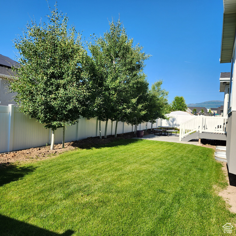 View of yard featuring a patio area