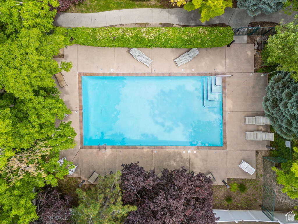 Aerial view of a pool
