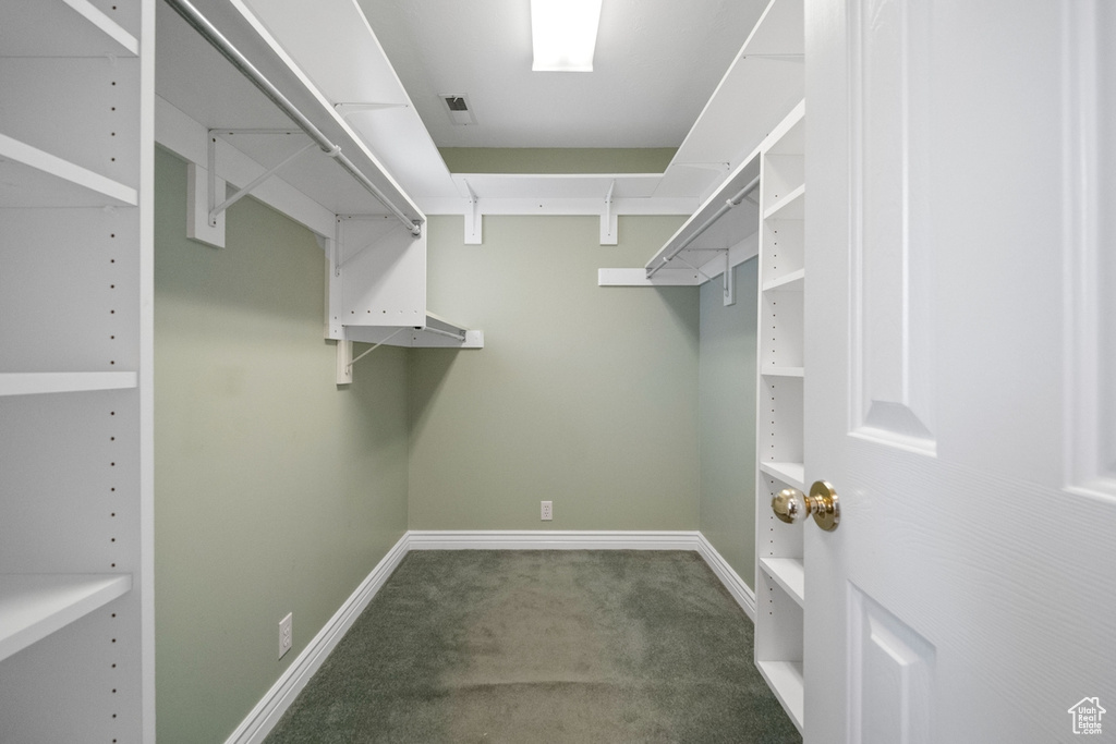 Walk in closet featuring carpet