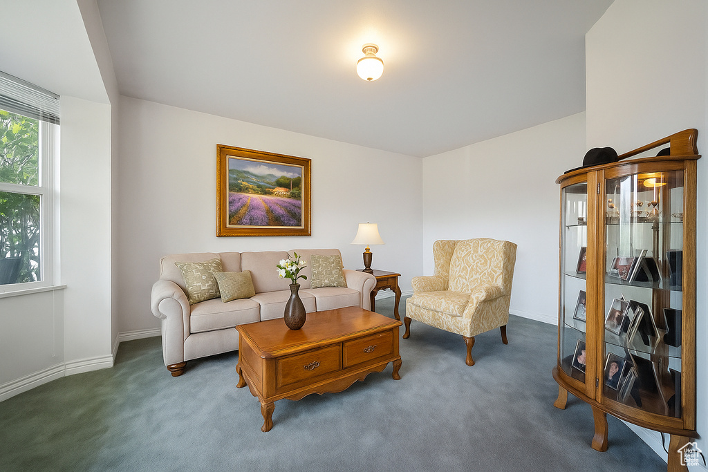 Carpeted living area with baseboards