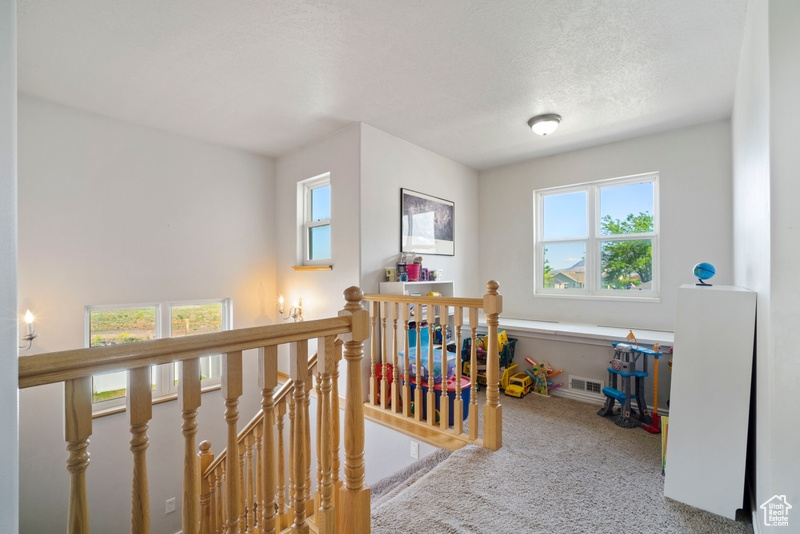 Hall with an upstairs landing, carpet, plenty of natural light, and baseboards