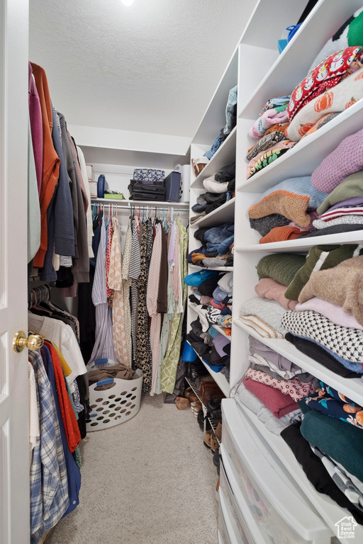 Spacious closet featuring carpet flooring