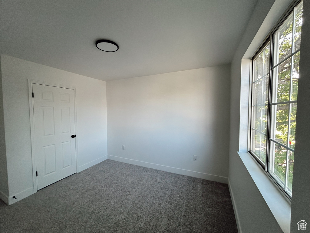 Empty room with plenty of natural light, carpet, and baseboards