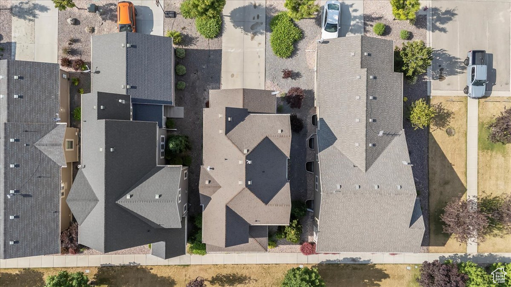 Bird\'s eye view