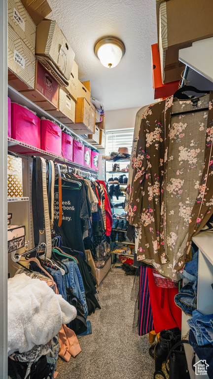 Walk in closet featuring carpet flooring