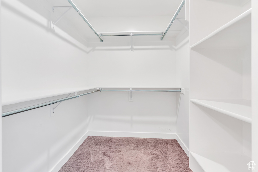 Spacious closet featuring carpet floors