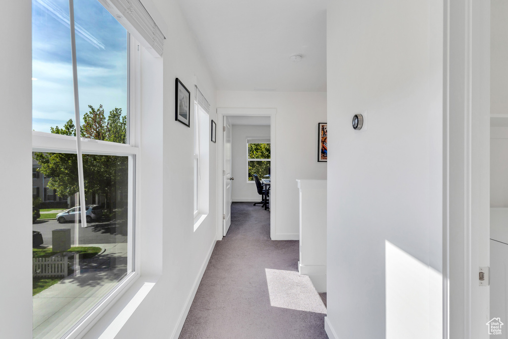 Hall with carpet and baseboards