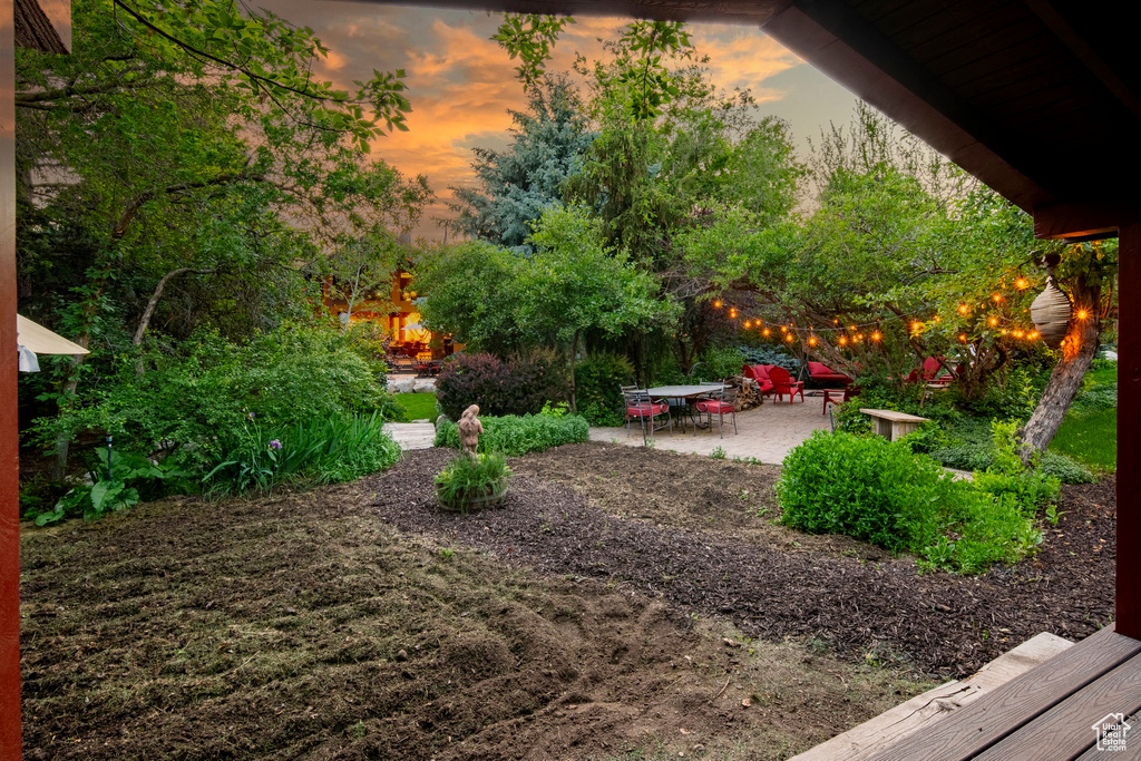 View of yard featuring a patio