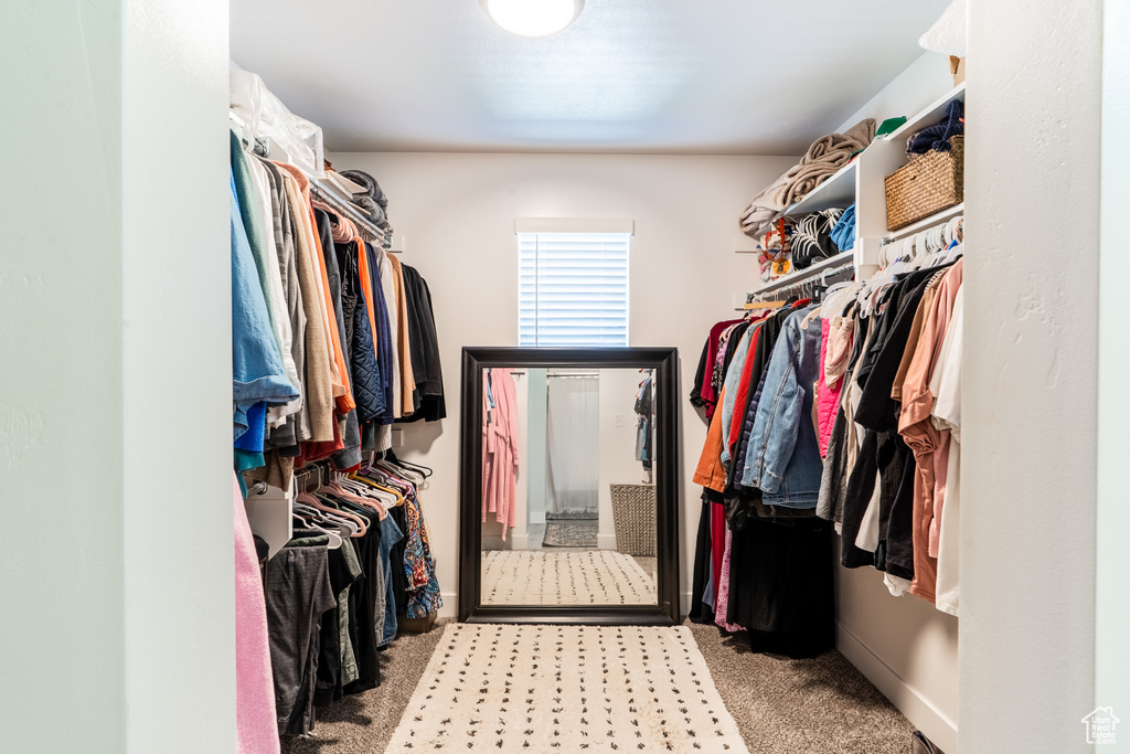 Spacious closet featuring carpet