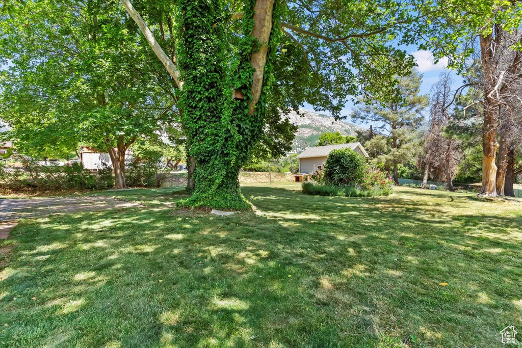 View of green lawn
