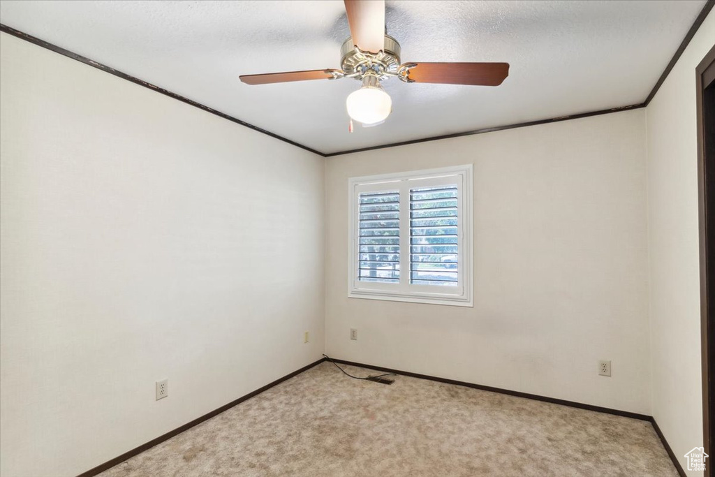Empty room with light colored carpet, baseboards, ceiling fan, and crown molding
