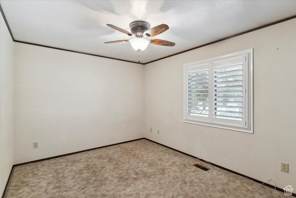 Carpeted spare room with a ceiling fan, baseboards, and crown molding