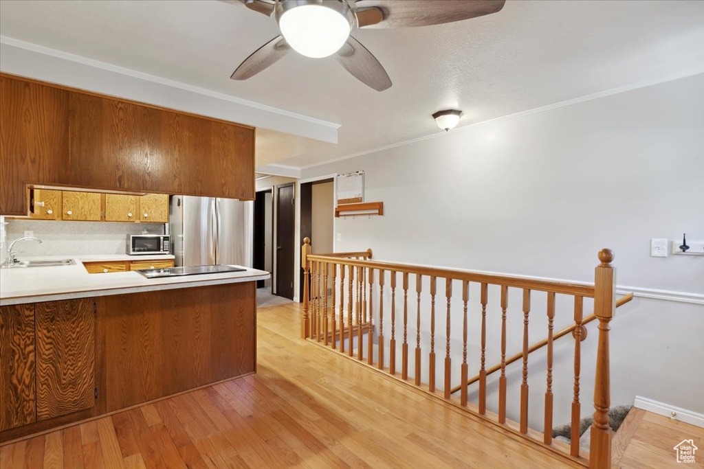 Kitchen featuring appliances with stainless steel finishes, a sink, a ceiling fan, light wood finished floors, and crown molding