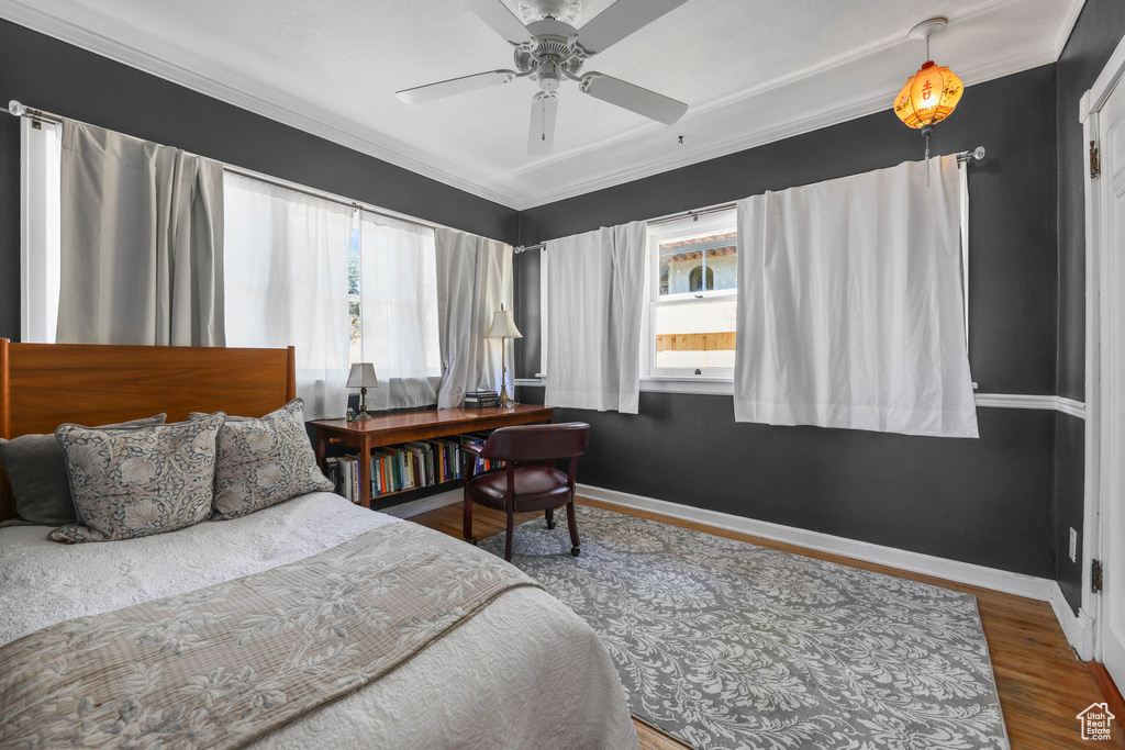 Bedroom with wood finished floors, multiple windows, ornamental molding, baseboards, and a ceiling fan